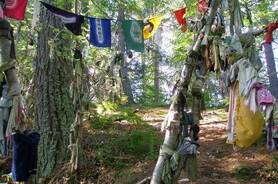 Древняя кельтская традиция — развешивание полосок ткани на ветвях деревьев: в чём смысл этого обычая?