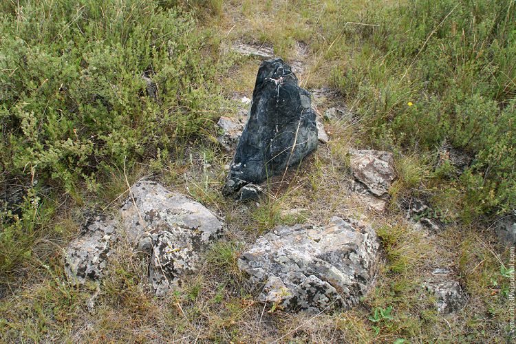 HU88432562 Казахстанские и татарстанские историки и археологи соберутся в столице Бурятии